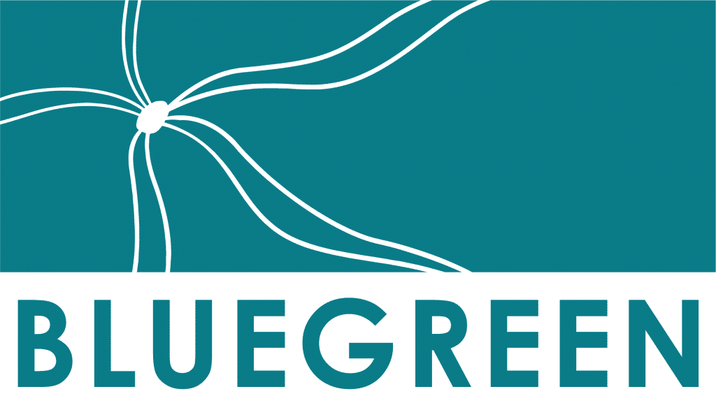 BlueGreen Architecture