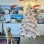 Fortune Marketing Christmas Tree